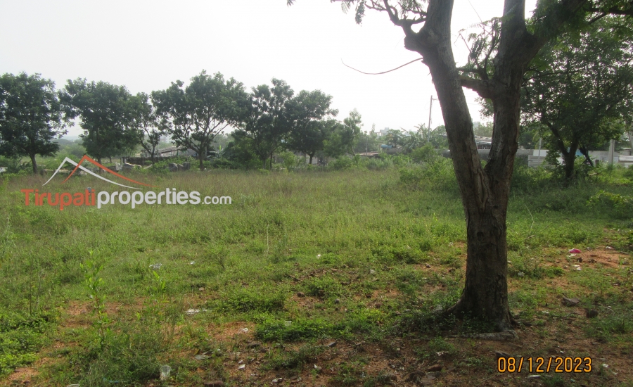 Tuda Approved North and South Facing 68 Anks Two Plots for Sale in TUDA Layout HIG Near Karkamabadi Road, Tirupati